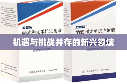 呼和浩特机遇与挑战并存的新兴领域