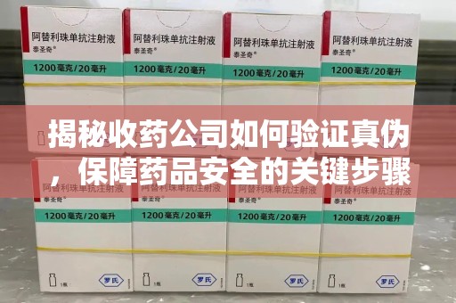 呼和浩特揭秘收药公司如何验证真伪，保障药品安全的关键步骤