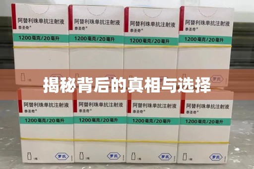 呼和浩特揭秘背后的真相与选择