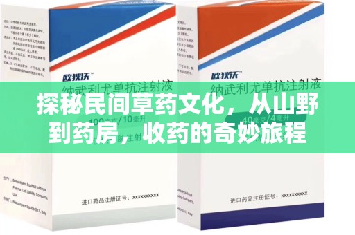 呼和浩特探秘民间草药文化，从山野到药房，收药的奇妙旅程