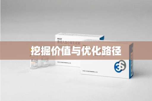 呼和浩特挖掘价值与优化路径